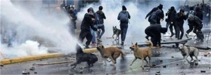 Gezi Parkı olaylarıyla ilgili sosyal medyadaki 20 doğru haber