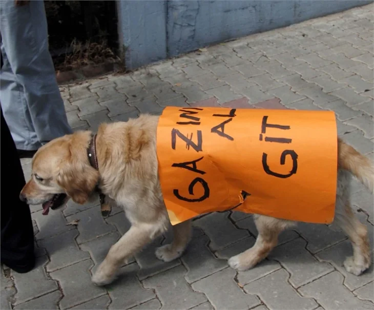 Türkiye'de 'Gezi' protestosu