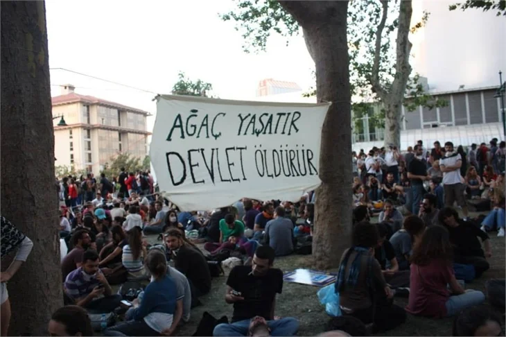 Türkiye'de 'Gezi' protestosu