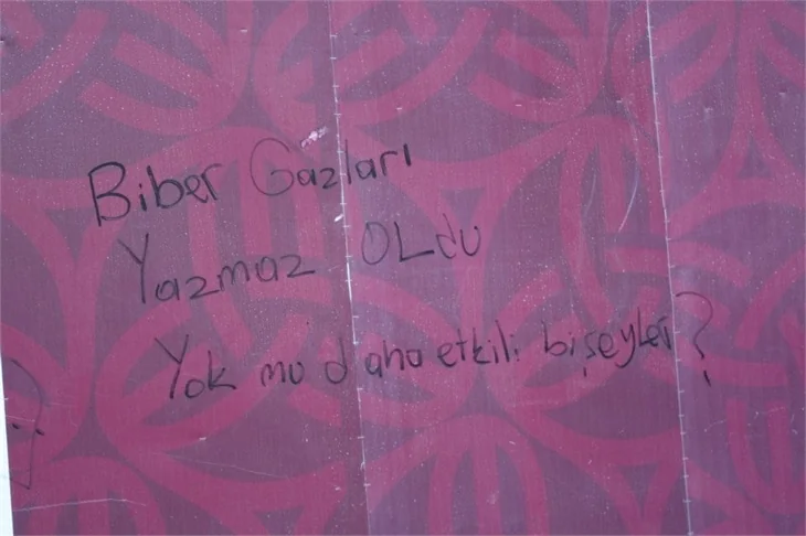 Türkiye'de 'Gezi' protestosu