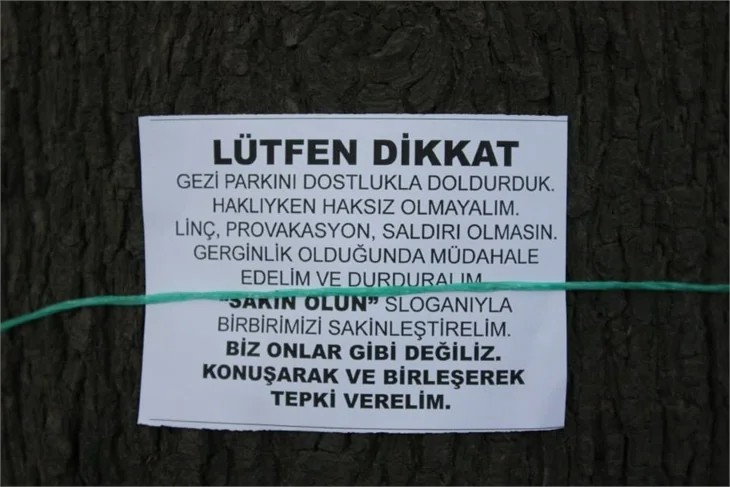 Türkiye'de 'Gezi' protestosu
