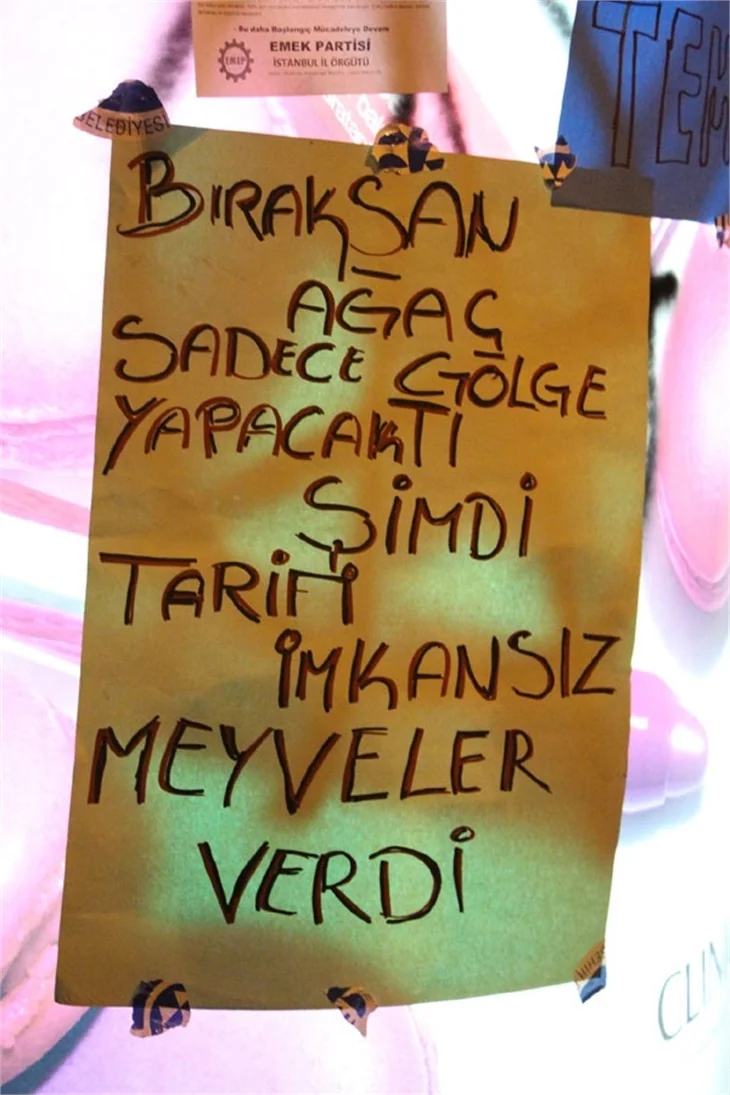 Türkiye'de 'Gezi' protestosu