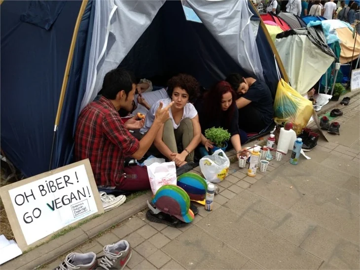 İşte müdahaleden önceki son Gezi Parkı!