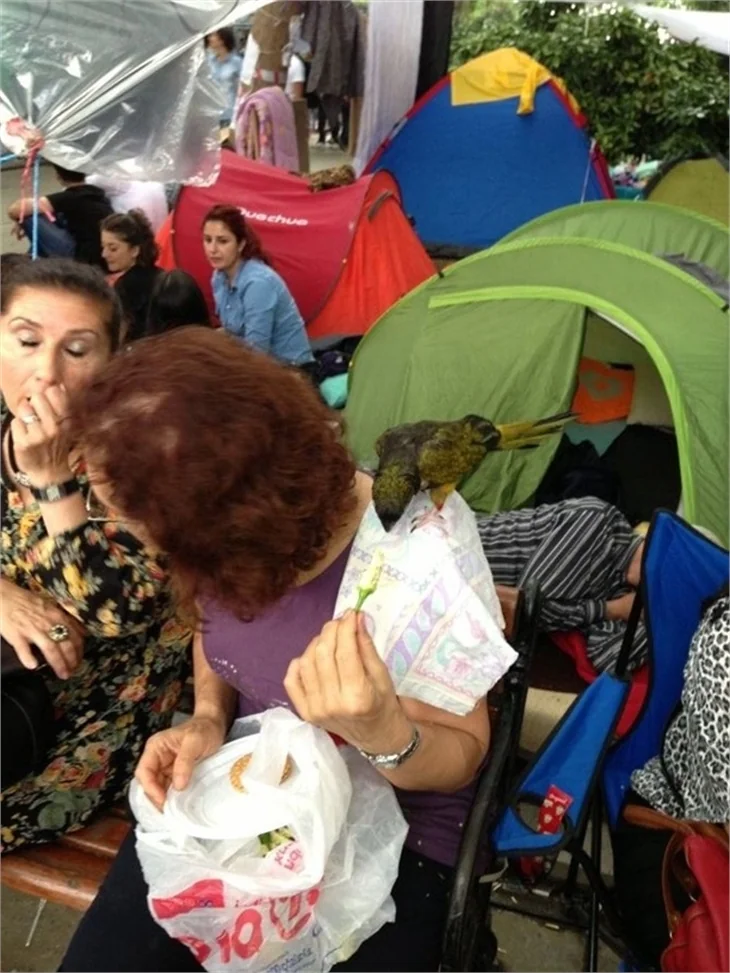 İşte müdahaleden önceki son Gezi Parkı!