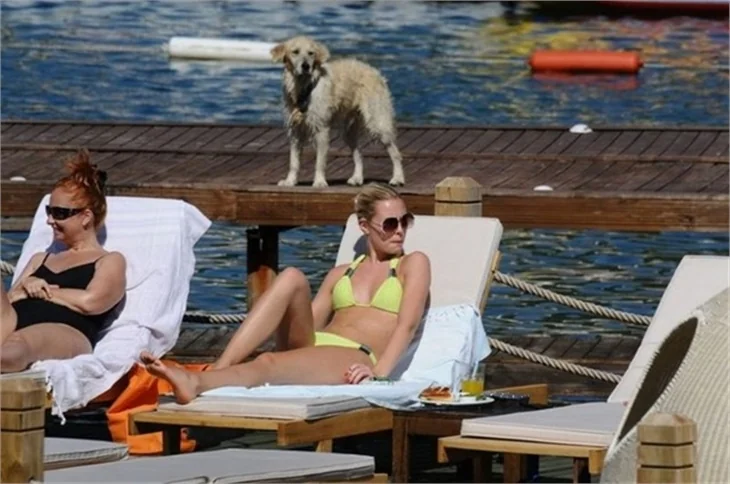 Serdar Ortaç ve Chloe deve güreşi oynarsa...