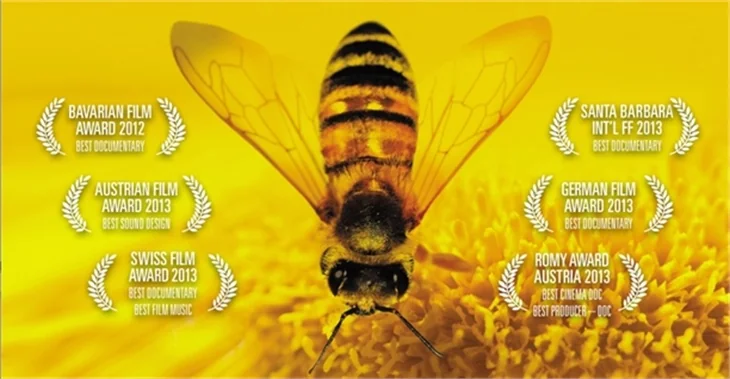 Vizyondakiler