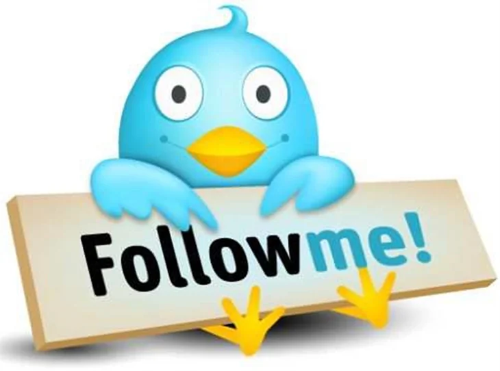 Twitter sahteleri siliyor!