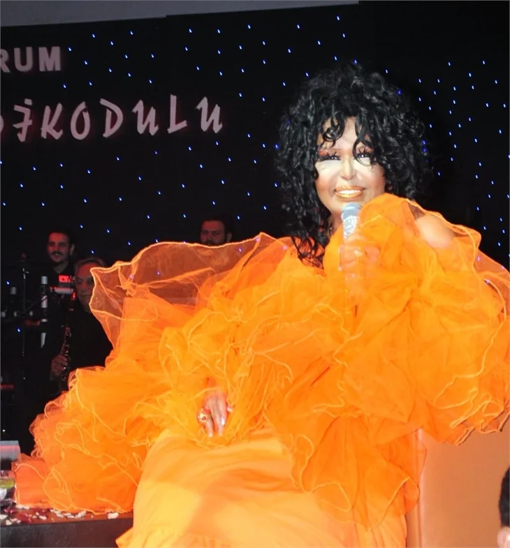 Bülent Ersoy: Ajda'nın canı acısın istedim!