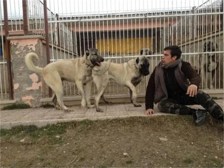 Merhamet' te Fırat ile Narin kavuşacak mı?
