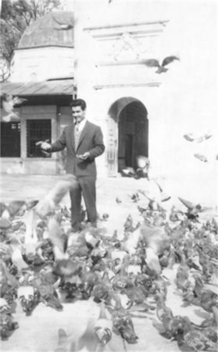 Nuri Sesigüzel: İneğimin adı Kıvanç!