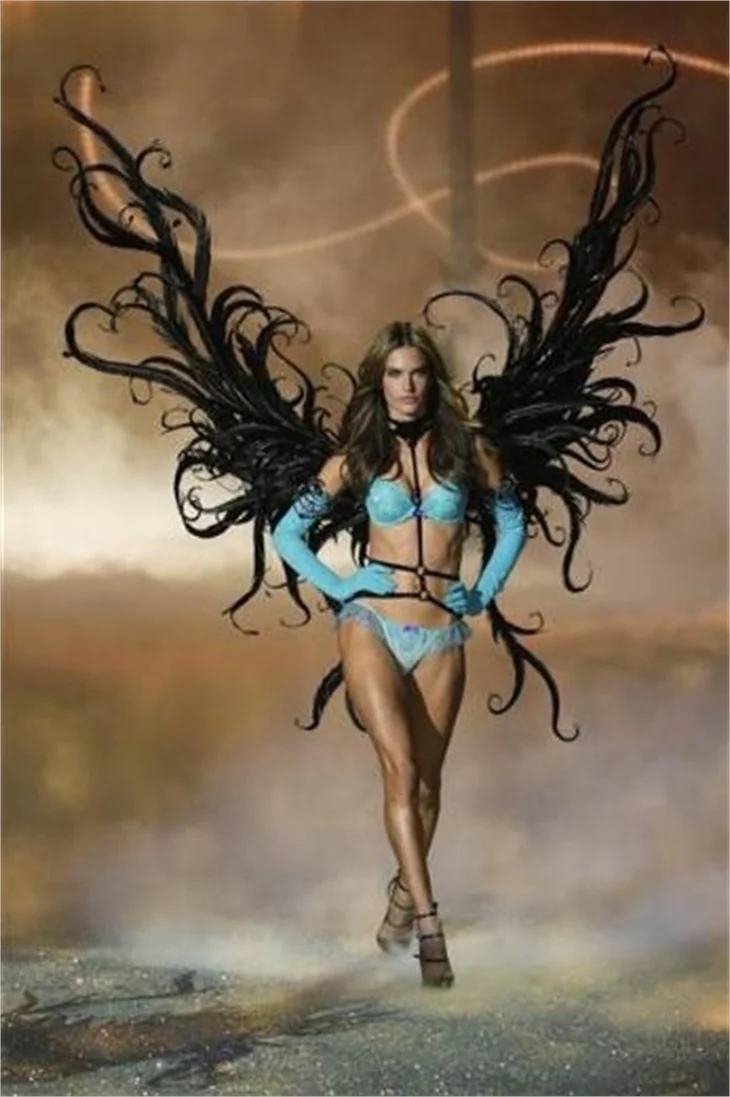 2013 Victoria's secret defilesi!