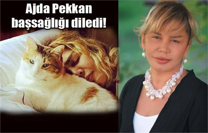 Sezen Aksu'nun büyük acısı!