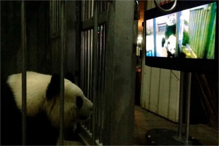 TIME, 2013´ün en çok konuşulan fotoğraflarını seçti