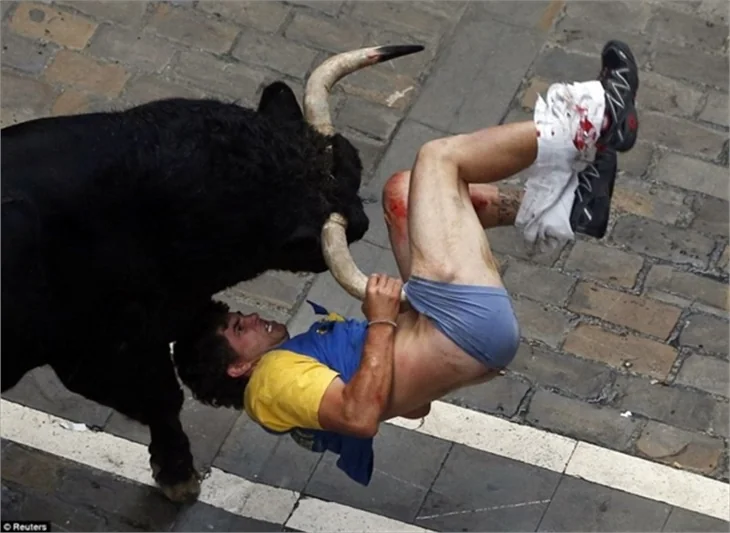 2013'ün en iyi fotoğrafları!