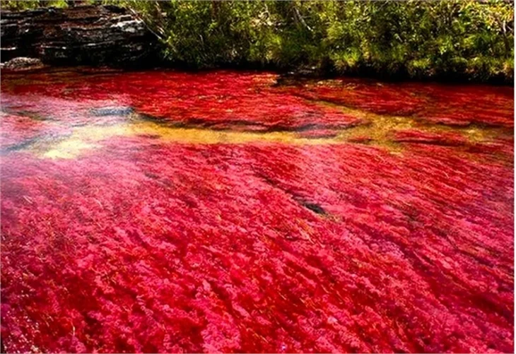 Dünyanın en güzel nehri!