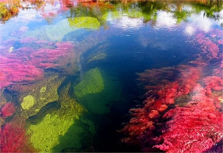 Dünyanın en güzel nehri!