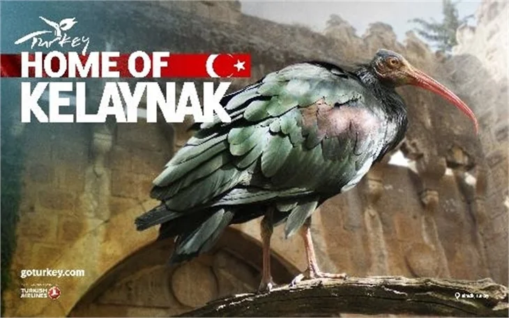 Türkiye'nin 2014 tanıtım afişleri!