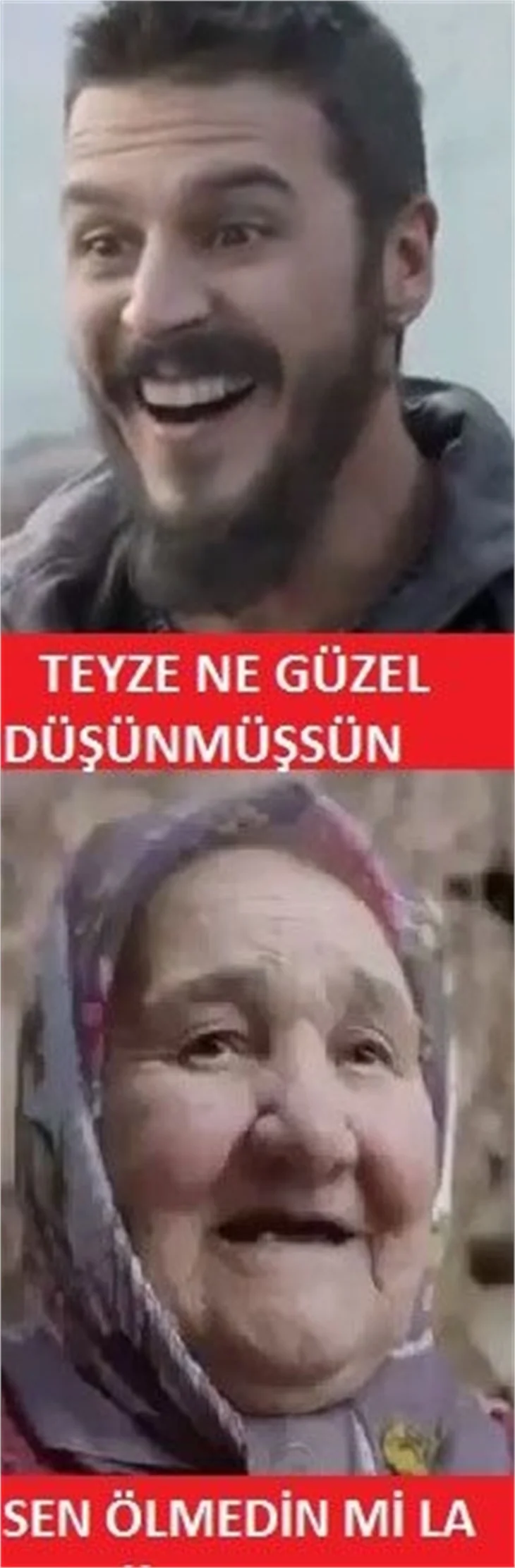 Şehzade Mustafa geyikleri!