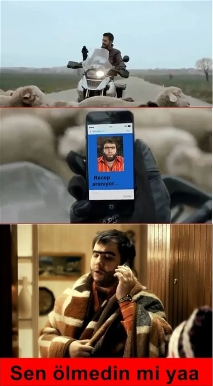 Şehzade Mustafa geyikleri!