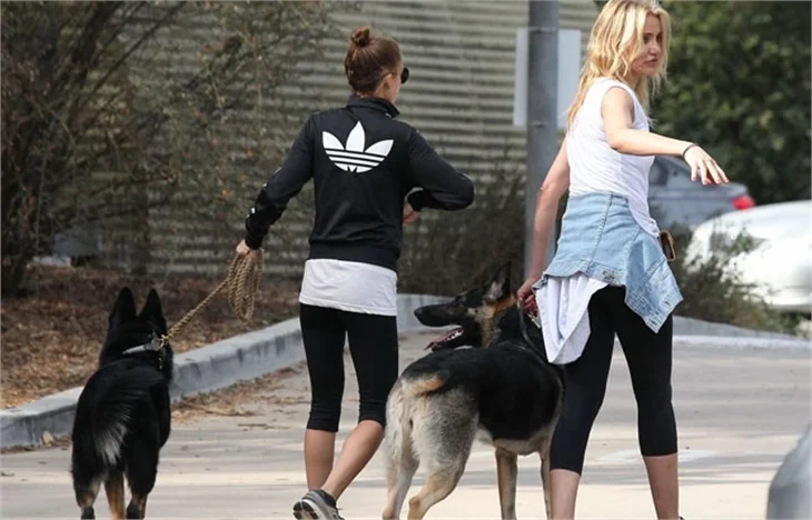 Köpek dolaştırma dostluğu!