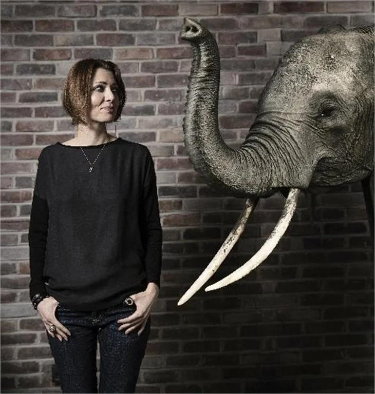Elif Şafak: Kadınlık sınavından geçmem güç