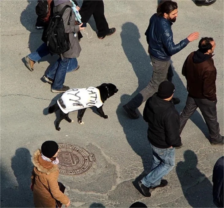 Berkin Elvan'a veda!