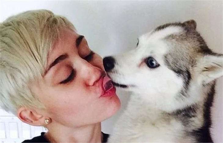 Miley Cyrus konserde ağladı