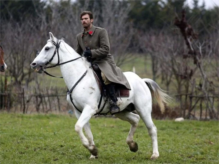 "Kurt Seyit ve Şura" neden tutmadı?