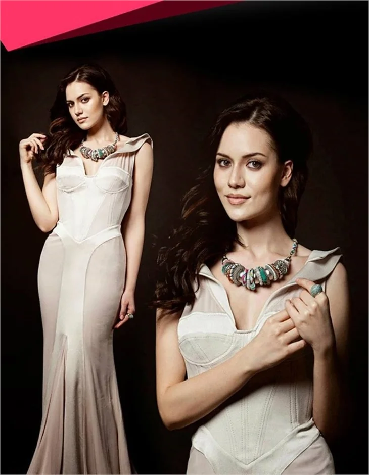 Fahriye Evcen'i ikna etmek için...