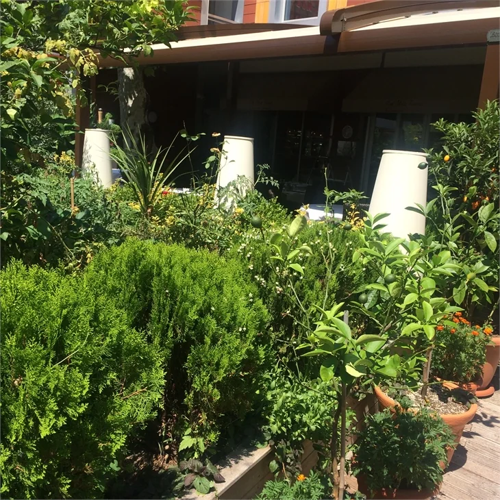 La Mia Luce'nin Organik Bahçesi ve Muhteşem Lezzetleri
