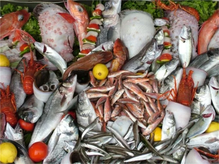 Dolphin Restaurant'ta balık keyfine dalın..