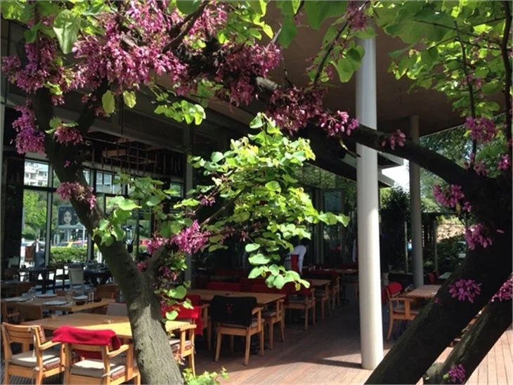 Zeybe Et Restaurant