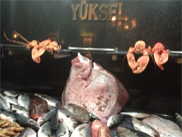 Balık denilince akla ilk gelen isim: Yüksel