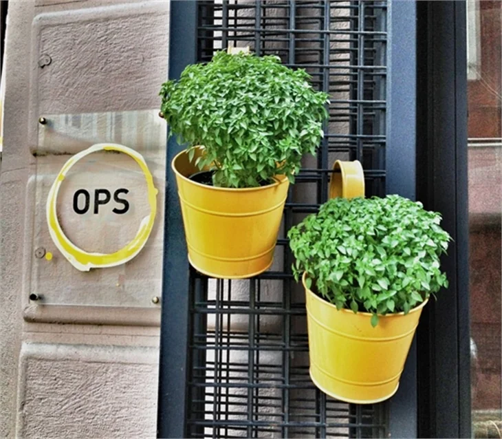 Karaköy'ün en iyi kafesi: Ops Cafe
