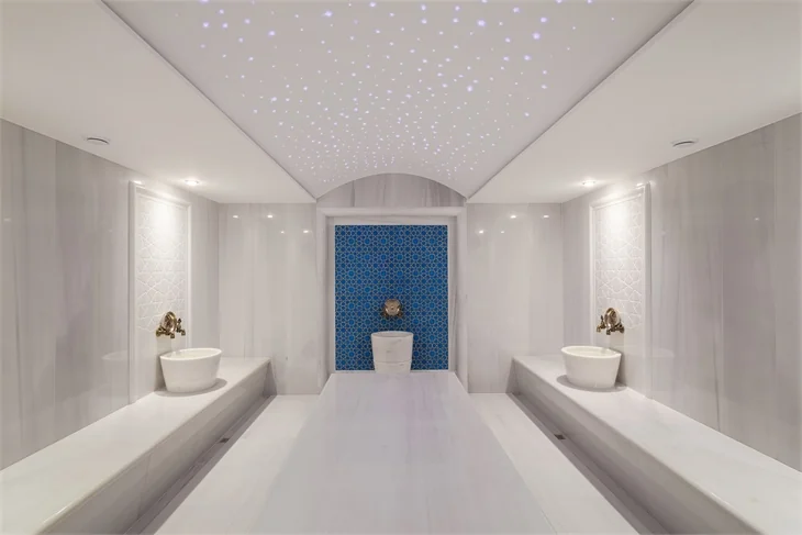 Denize karşı toplantı