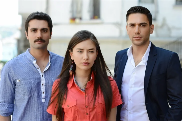 2 ayda 15 dizi bitti!
