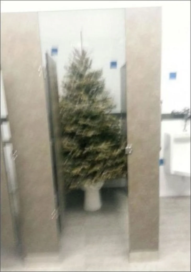 En acayip 'yılbaşı' fotoğrafları!