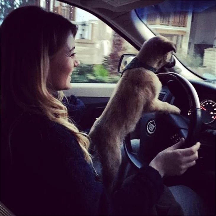 Insragram'da ünlüler - 17.01.2015