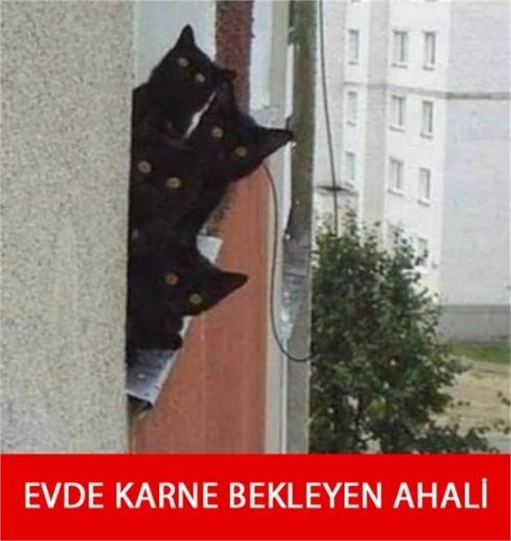 Güldüren karne günü capsleri