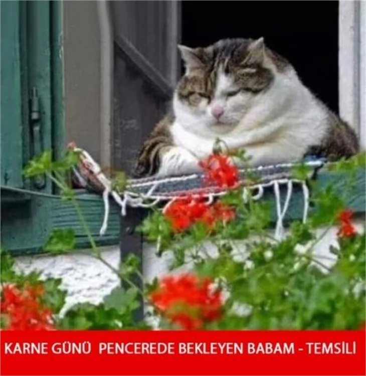 Güldüren karne günü capsleri