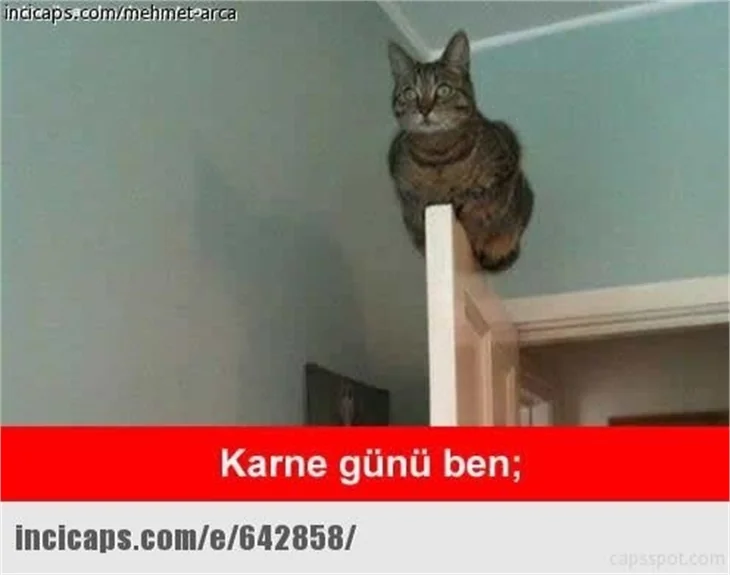 Güldüren karne günü capsleri