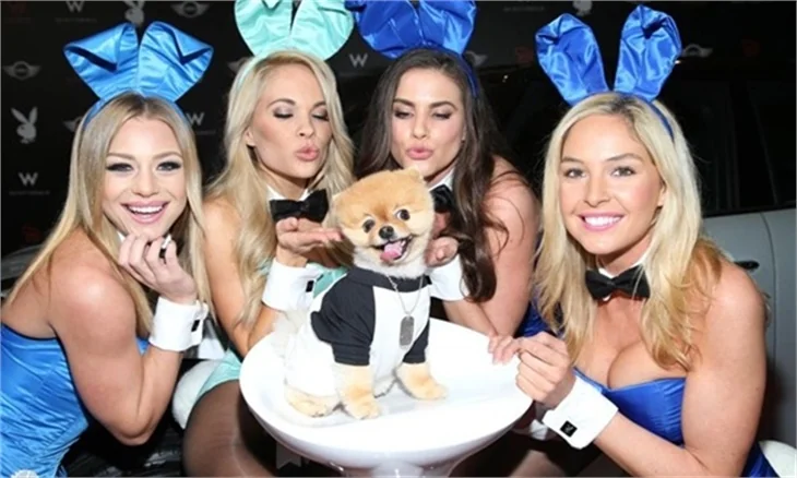 Super Bowl'a çılgın parti!