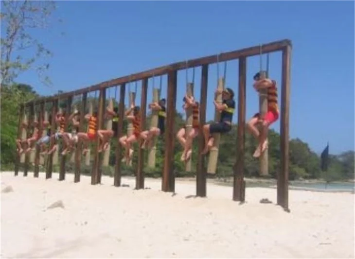 Survivor tarihinden