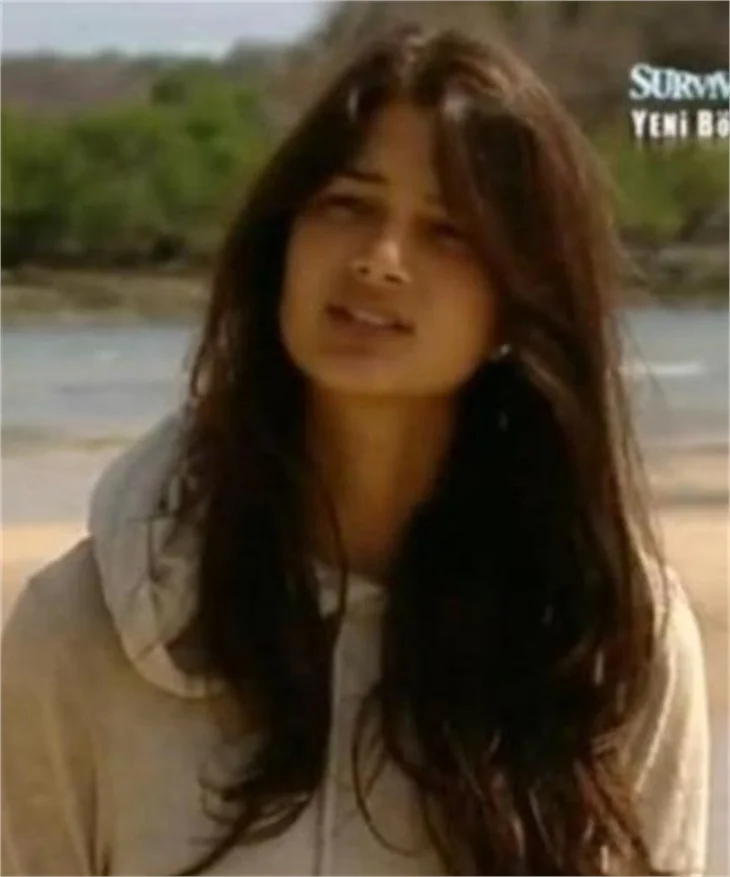 Survivor tarihinden