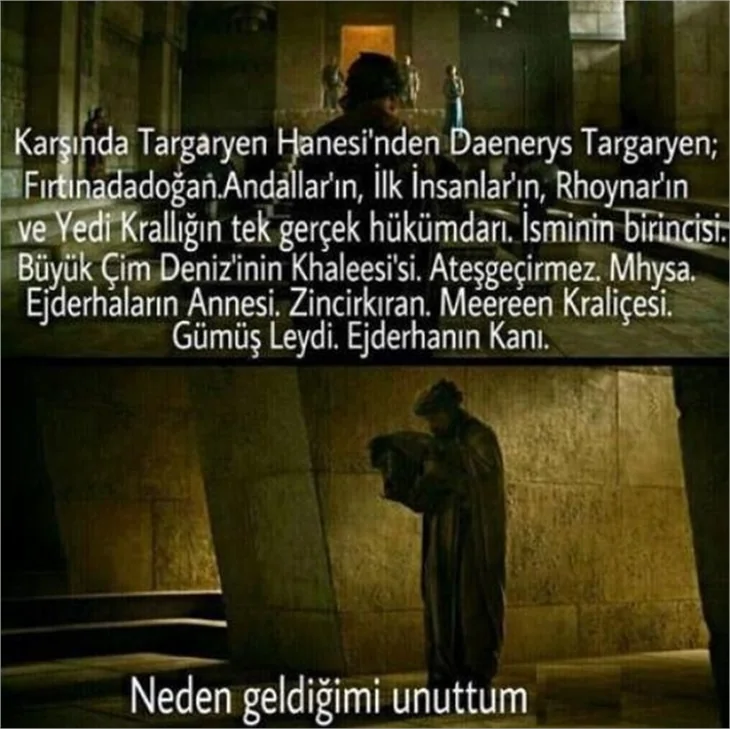 Türk işi Game Of Thrones