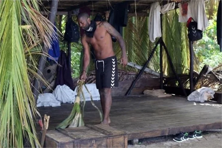 Survivor ada mı değil mi?