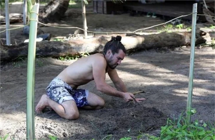 Survivor ada mı değil mi?