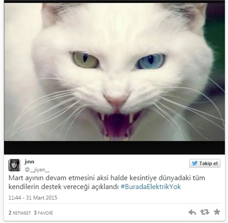 Türkiye'deki elektrik kesintisine sosyal medya tepkileri