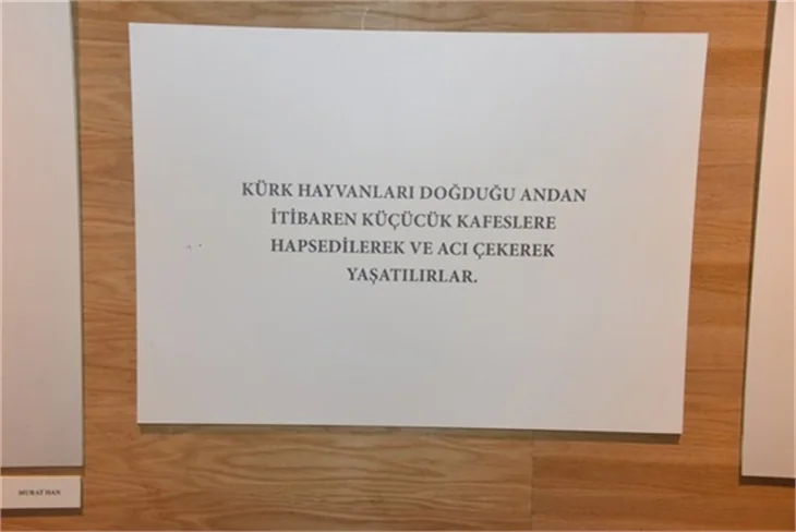Ünlülerden ‘Kürkünü Çıkar Vicdanını Giy’ kampanyasına destek!