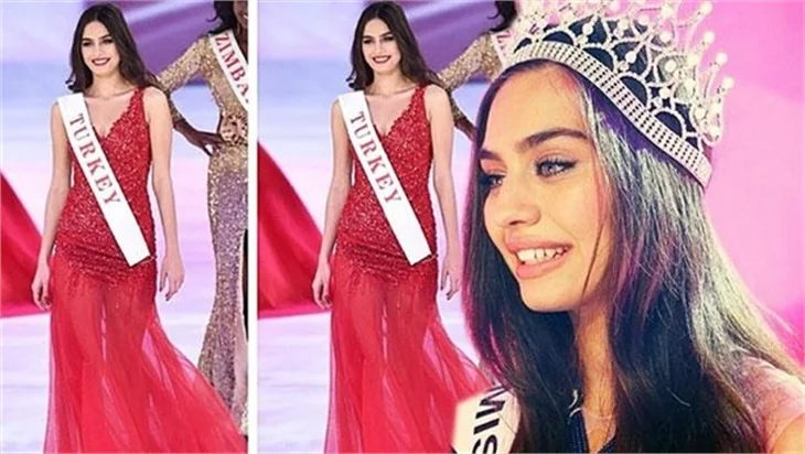 Amine Gülşe kimdir?